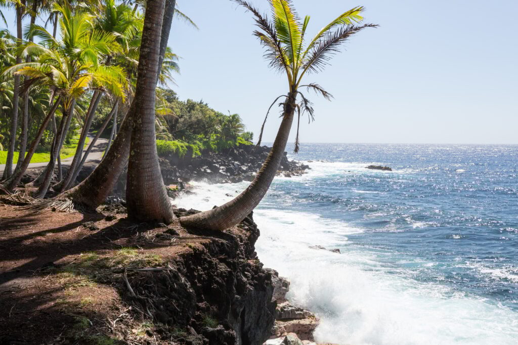 Hawaiian beach