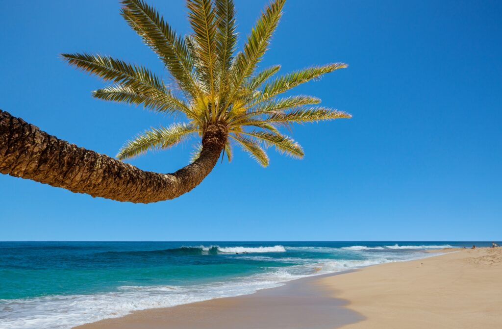 Hawaiian beach