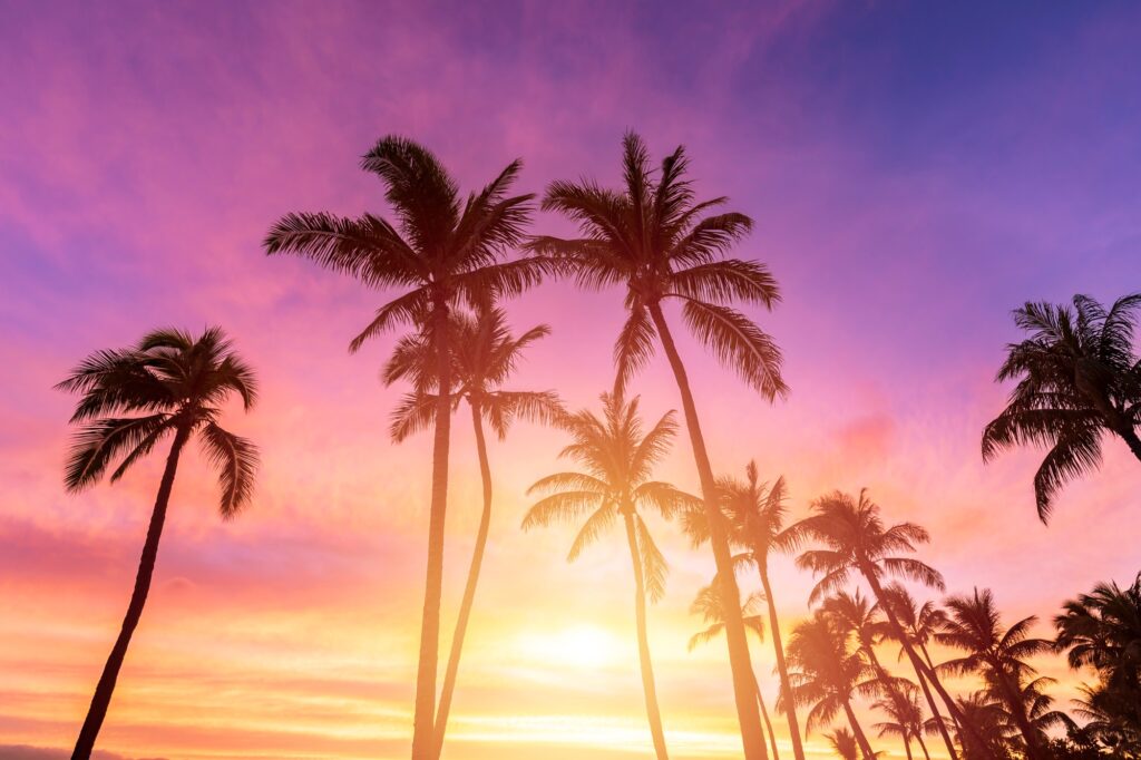 Tropical beach sunset
